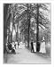 Historic Print (L): U.S. Naval Academy, Annapolis, Md. 1902?: [midshipmen and visitor...