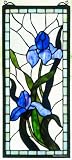 9 Inch X 20 Inch Iris Window Windows