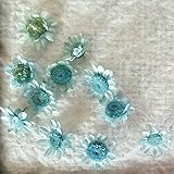 スターフラワーブロッサム（ベビーブルー）10輪　【ドライフラワー】レジンなどハンドメイドアクセサリーの素材として人気です！