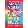 Make Your Dreams Come True Now! (Hardcover)