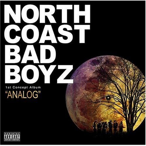 ANALOG