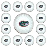 Florida Gators Dozen Pack of Golf Balls from Team Golf