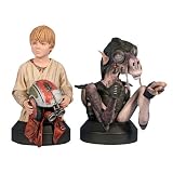 『スター・ウォーズ』 【ミニバスト】 セブルバ&アナキン