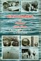 Beachcombing for Japanese Glass Floats