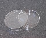 2 Glass Petri Dishes
