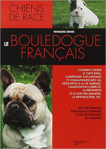rencontre bouledogue francais