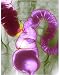 Photographic Print of Colonic spasm, X-ray from Science Photo Library