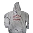 Houston Texans NFL Hoody Sweatshirt (Gray)