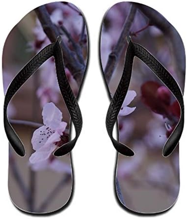 Cherry Blossom Colorful Flip Flop Rubber 9 B(m) Us - Women Eugenpatri