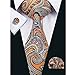 Hi-Tie Mens Stylish Paisley Tie Hanky Cufflinks set