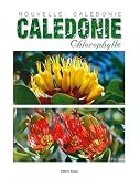Nouvelle-Cal�donie Chlorophylle