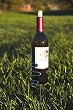 Pack of 4 Stainless Steel Wire Outdoor Wine Bottle Holders - Stake into Ground