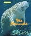 Book cover for 9780761430728