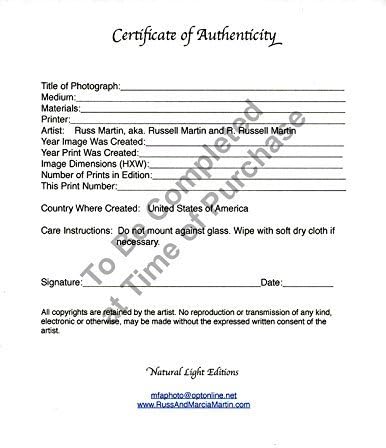 0060b 11" X 13.44" Limited Edition Black and White Fine Art Flora Photograph by Russ Martin "Sunlit Wilted Hosta Leaf" COA (10% of the profit to be donated to The Nature Conservancy)