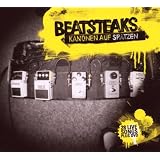 Kanonen auf Spatzen - 28 Live Songs (2CD + DVD)von "Beatsteaks"
