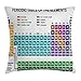 Ambesonne Periodic Table Throw Pillow Cushion Cover, Educational Artwork for Classroom Science Lab Chemistry Club Camp Kids Print, Decorative Square Accent Pillow Case, 40 X 40 Inches, Multicolor
