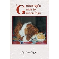 A Grown-up's Guide to Guinea Pigs