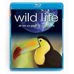 Wild Life [Blu-ray]