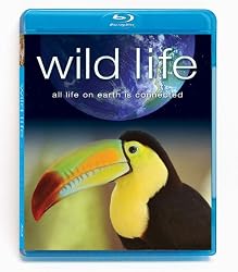 Wild Life [Blu-ray]