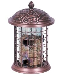 Avant Yarde Squirrel Resistant Bird Feeder, Satin Bronze with Clear Plastic, 11 3/4 Inches High