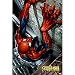 All Products : Spider-Man (Climbing Building) Art Poster Print - 24x36