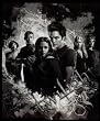 Twilight Fleecedecke Kuscheldecke Bis(s)... The Cullens NEUHEIT 2009/2010 gro�e Decke 127x152cm