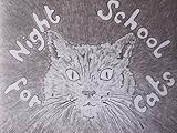 Night school for cats