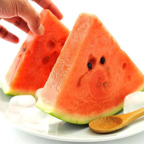 旬の産地より すいか 1玉 7kg [訳あり] スイカ