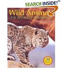Wild Animals of North America (Poster Books) by  LLC, Storey Publishing and Karl Meyer