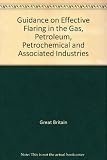 Environmental Protection Act 1990 : guidance on effective flaring in the gas, petroleum, petrochemical and associated industries