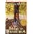 Bridge to Terabithia: Trophy Newbery (046594005953-40184)