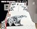 White Cheetahs, 4 PCs Animal Themed Bedding, Twin Size Egyptian Cotton Duvet Cover Set in Gift Box by Dolce Mela Fine Linens Bed in a Box, Boys or Girls Dorm Room Bedding Set, Birthday Housewarming or Anniversary Gift Idea, DM431T White Cheetahs, 4 PCs Animal Themed Bedding, Twin Size Egyptian Cotton Duvet Cover Set in Gift Box by Dolce Mela Fine Linens Bed in a Box, Boys or Girls Dorm Room Bedding Set, Birthday Housewarming or Anniversary Gift Idea, DM431T
