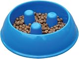 Pet Supplies : Brake-Fast Dog Food Bowls - Medium Blue