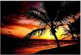  : FELLOWES PALM MOODS MOUSE MAT [ STAT_BB58750 ]