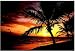 Electronics : FELLOWES PALM MOODS MOUSE MAT [ STAT_BB58750 ]
