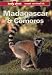Madagascar & Comoros: A Travel Survival Kit