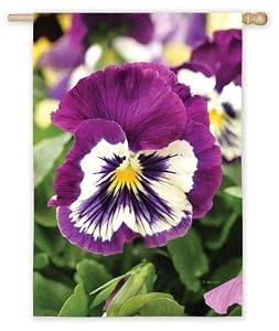 Pansies Garden Flag