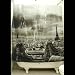 Paris France Shower Curtain