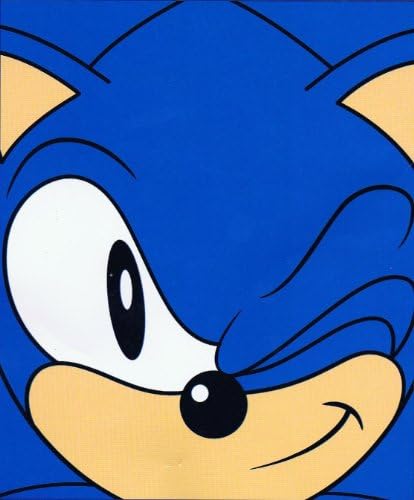 Sonic The Hedgehog ~ Wink ~ Micro Raschel Fleece Throw Blanket ~ Approx 50" x 60"