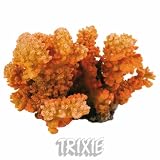 Eigenschaften Trixie  / Fingerkoralle, 12 cm