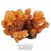 Branche de Corail, petit, pour aquarium, 12 cm