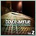 Rolling In The Deep (Boyce Avenue acoustic cover) 