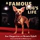A Famous Dog's Life: The Story of Gidget, America's Most Beloved Chihuahua