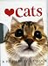 Love Cats (Helen Exley Giftbooks Series)