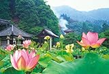 1000p 蓮の彩り(三室戸寺) 71-337
