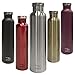Seven Fifty Shiraz Vacuum-Insulated Stainless Steel Wine Growler - 750 mL Capacity