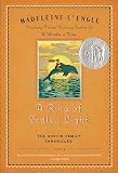 A Ring of Endless Light