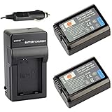 DSTE&reg; 2x NP-FW50 Battery + DC107 Travel and Car Charger Adapter for Sony NEX-7 NEX-5N NEX-F3 SLT-A37 NEX5R NRX6 NEX-3 NEX-3A NEX-3D NEX-3DW NEX-3K NEX-3KS NEX-5 NEX-5A NEX-5C NEX-5D NEX-5DB NEX-5HB NEX-5K NEX-5KS A7 Digital Camera