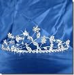 Bridal Wedding Tiara Crown With Crystal Flowers 40126