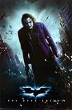 The Dark Knight People Poster Print, 22x34
